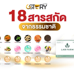 Alternative view of แล็บฟาร์ม (15กล่อง)