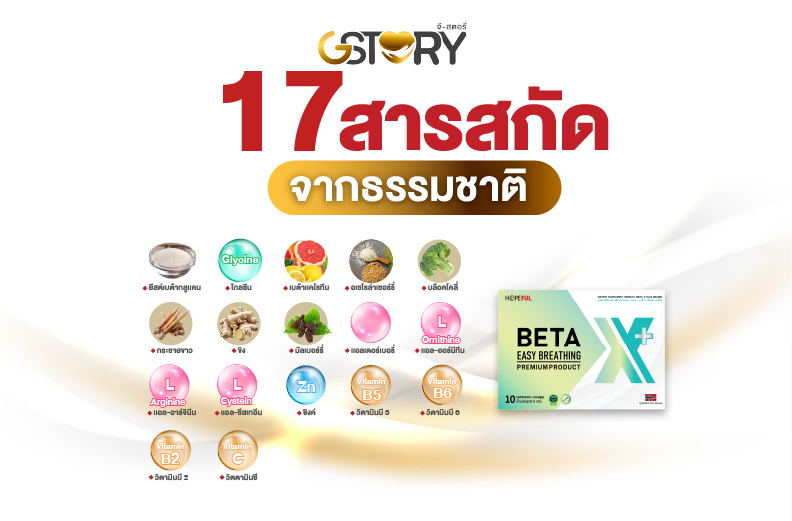 เบต้าเอ็กซ์พลัสบริษัทจีสตอรี่