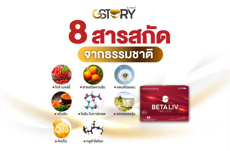 เบต้าลีฟโปรพลัสบริษัทจีสตอรี่