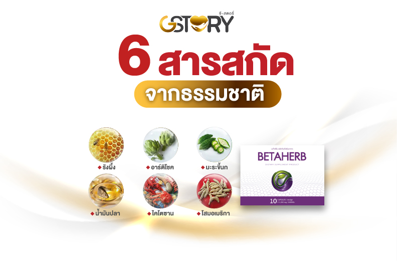 เบต้าเฮิร์บบริษัทจีสตอรี่