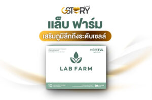 แล็บฟาร์มบริษัทจีสตอรี่