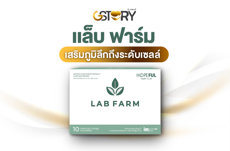 แล็บฟาร์มบริษัทจีสตอรี่