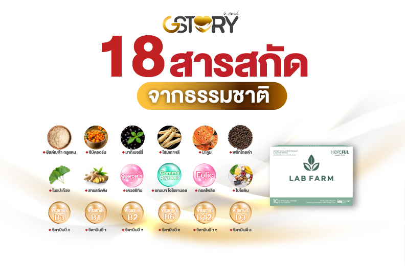 แล็บฟาร์มบริษัทจีสตอรี่