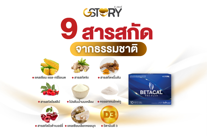 เบต้าเเคลโปรพลัสบริษัทจีสตอรี่จำกัด