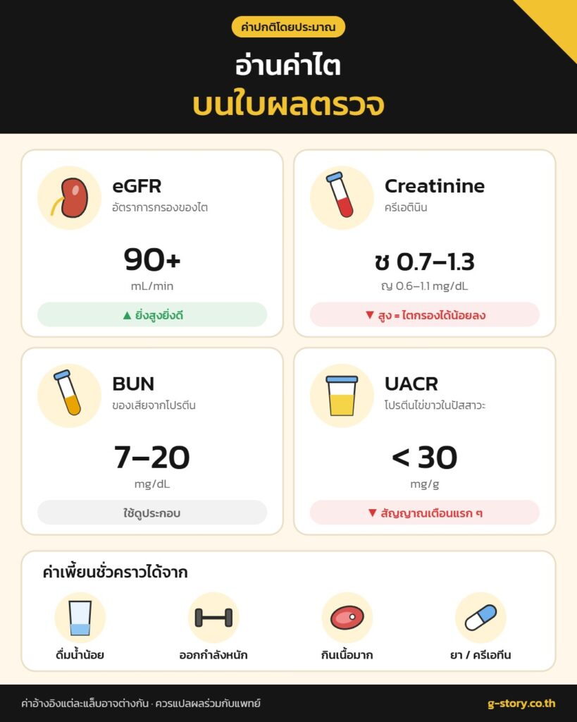 อ่านค่าไตบนใบผลตรวจ eGFR ครีเอตินิน BUN UACR ค่าปกติ